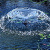 OASE 1/4 HP Floating Fountain with Lights