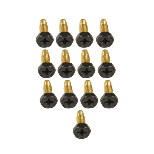 Aquascape Signature Series Brass Screws (13 ct)