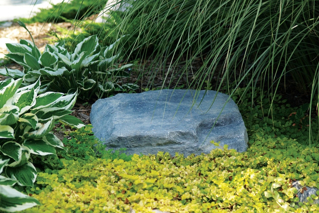 Picture of Pond Logic TrueRock Mini Cover Rock- Sandstone