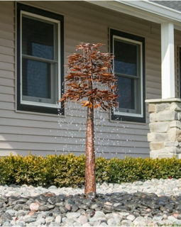 Sequoia Fountain