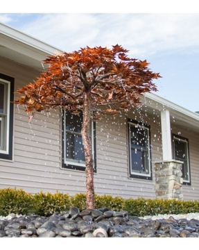 Japanese Maple Fountain