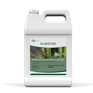 96026-Algaecide-Gallon