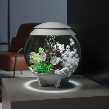 biOrb HALO 15 Aquarium with MCR