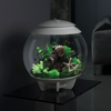 biOrb HALO 30 Aquarium with MCR-2