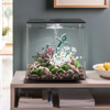 biOrb Cube 60 Aquarium with MCR-2