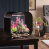 biOrb LIFE 30 Aquarium with MCR-1