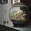 BiOrb Air LED Terrarium-1