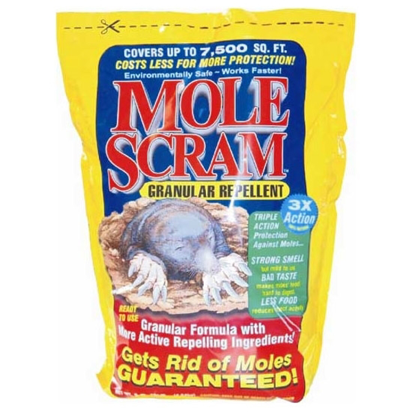 Mole Scram